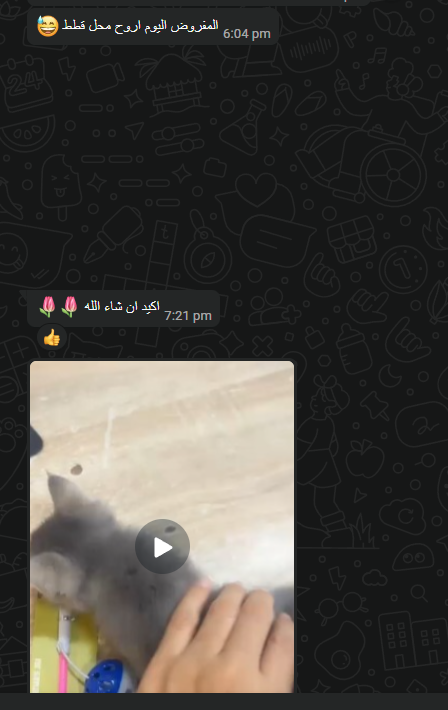 لقطة من رسالة: قرار شجاع في اليوم نفسه